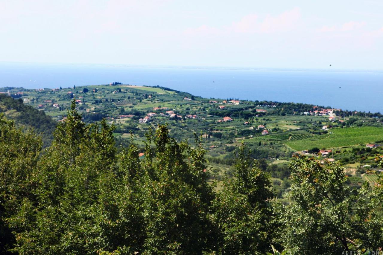 Garden Ville Izola Mira Экстерьер фото
